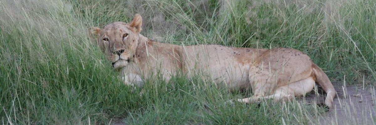 Amboseli National Park