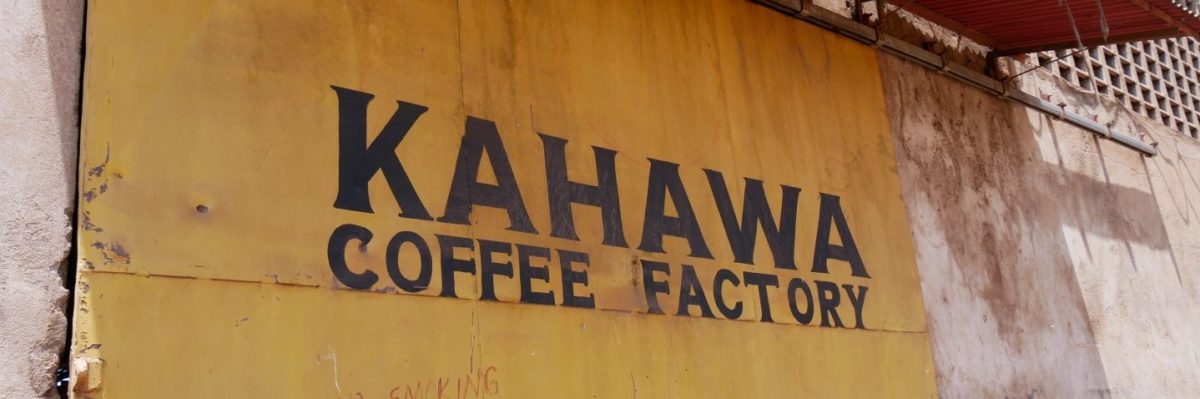 coffee farm