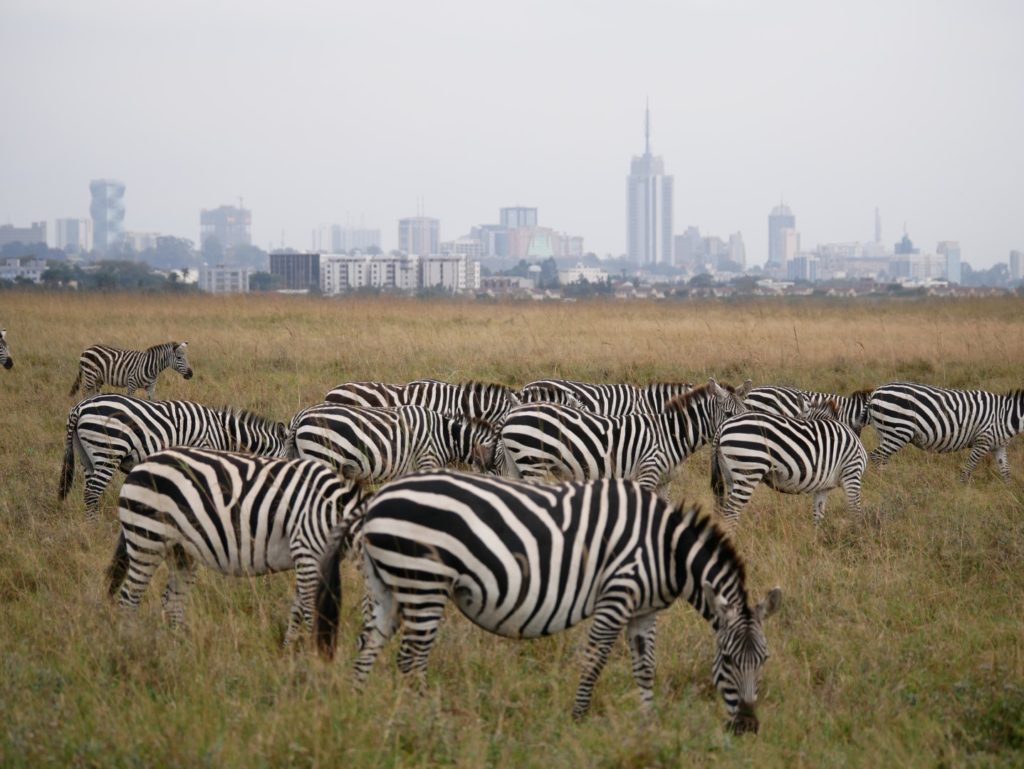 Nairobi Nationalpark